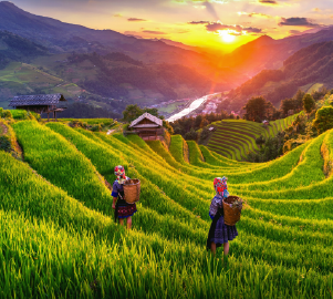 traveltovietnam_8